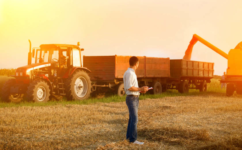 O que é o CPC 29 e quais as definições sobre Avaliação de Ativos Biológicos e Produtos Agrícolas?