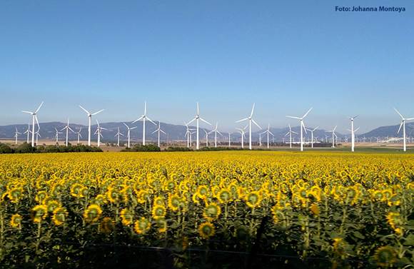 Contabilidade ambiental: a união do patrimônio ao pensamento sustentável