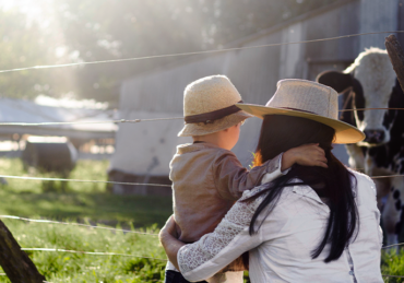 Projetos de Lei propõem alterações significativas no ITCMD em São Paulo