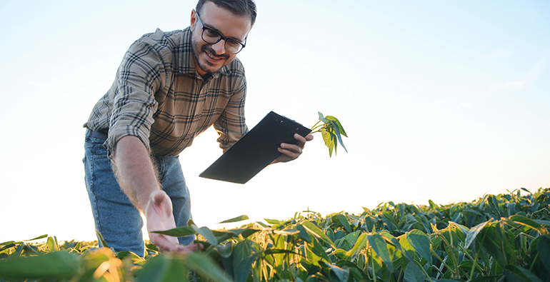 Crédito outorgado e crédito acumulado de ICMS: novidade para produtores rurais