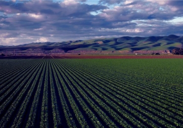 Impactos da reforma tributária nas cooperativas agropecuárias e na distribuição de agroinsumos