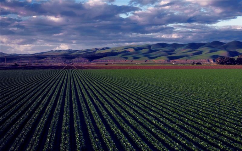 Impactos da reforma tributária nas cooperativas agropecuárias e na distribuição de agroinsumos