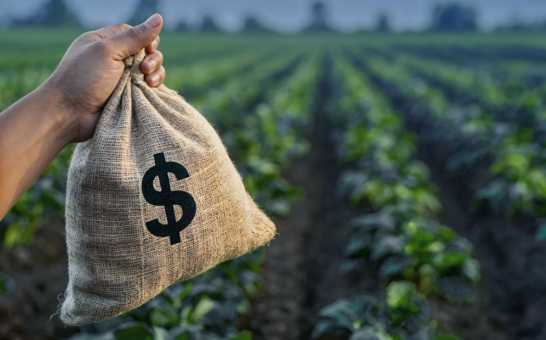 Impactos da Reforma na carga tributária de insumos agropecuários