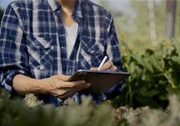 Reforma tributária: desafios dos sistemas de informação no agro