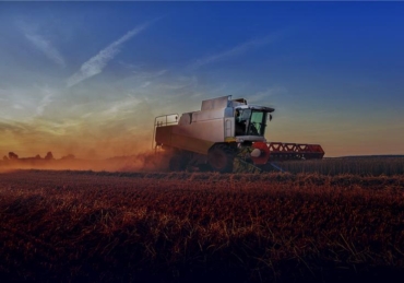 Safras recordes e recuperação judicial em alta: o que explica esse fenômeno no agro?