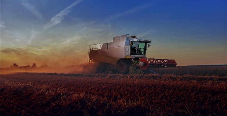 Safras recordes e recuperação judicial em alta: o que explica esse fenômeno no agro?